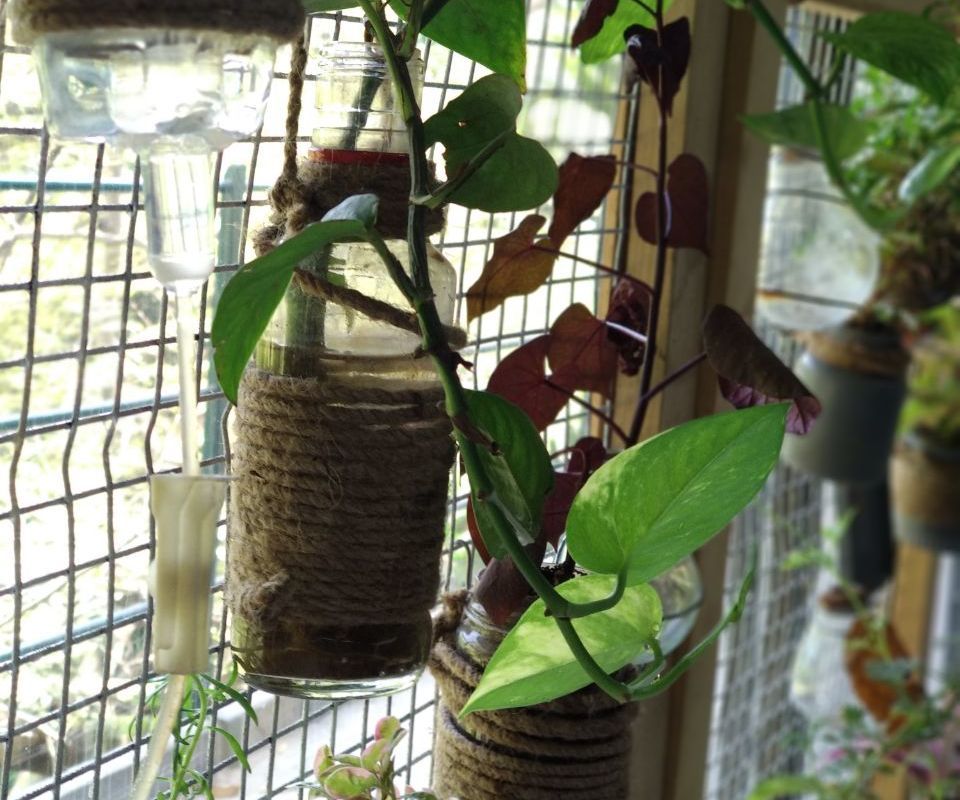  Planter Frames