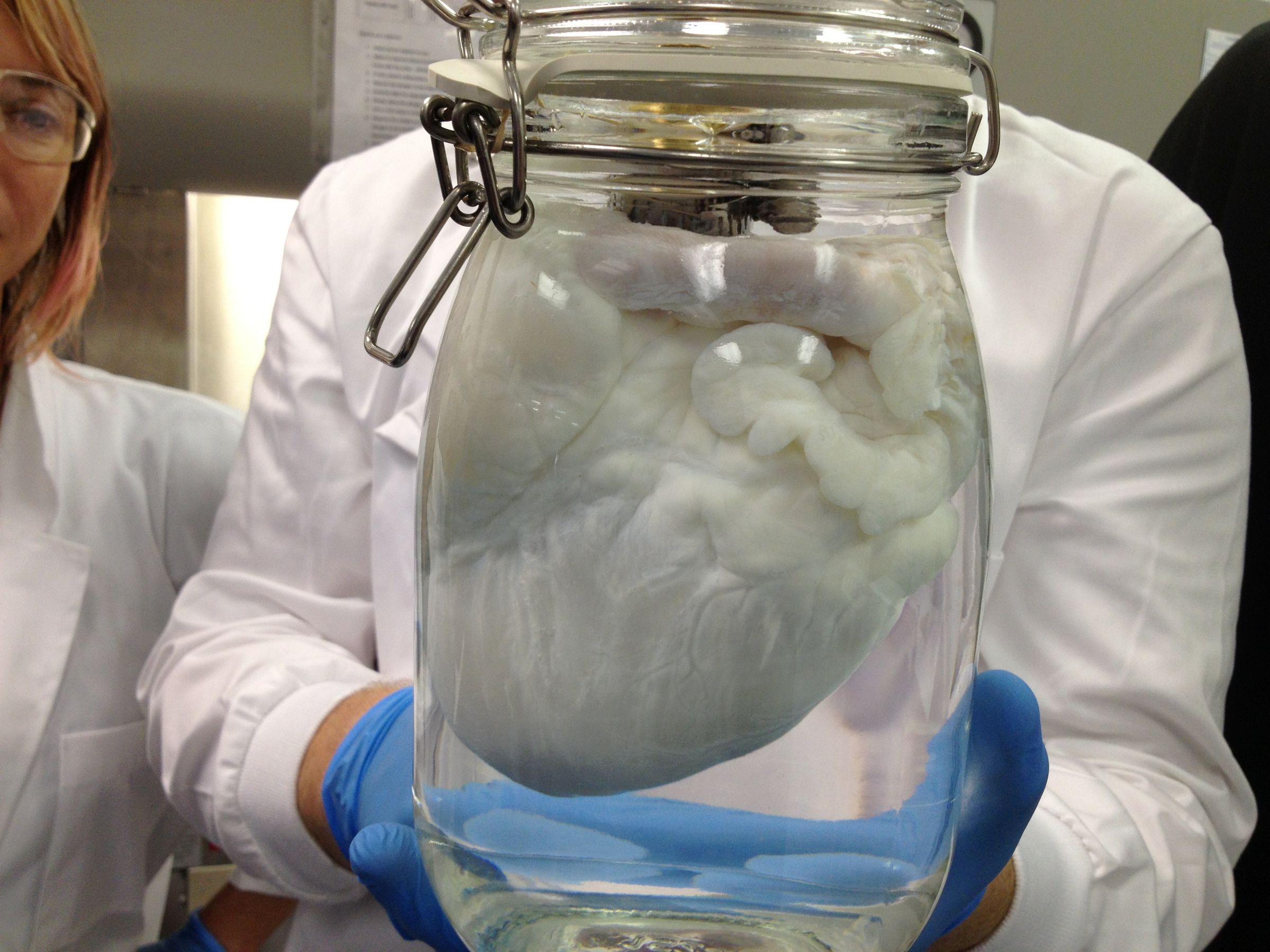 Ghost Heart in a Jar!
