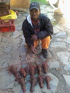 Rock Lobster Pondo-Style