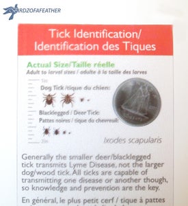 What's Inside a Tick Kit?