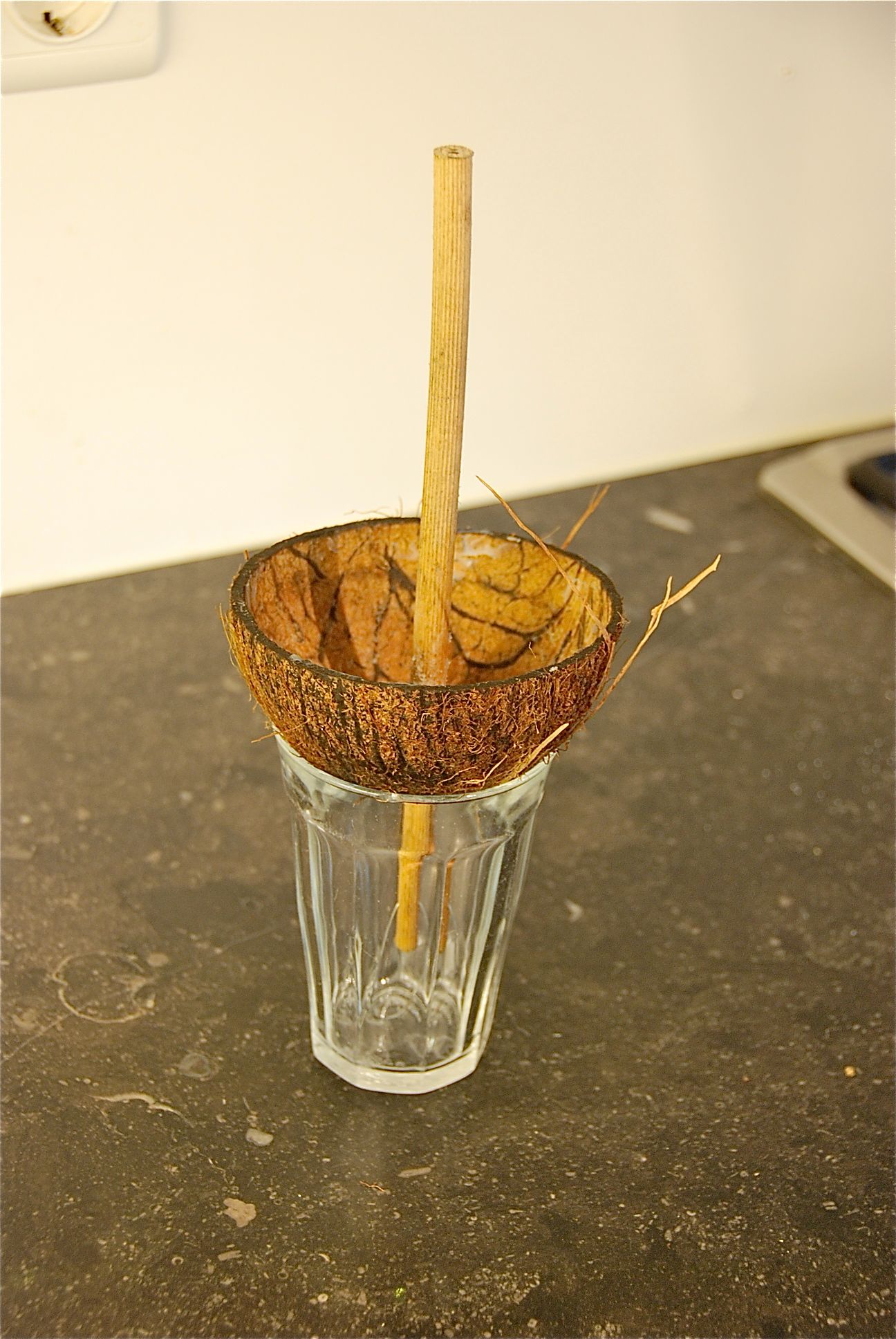 Coconut Bird Feeder. Instructables