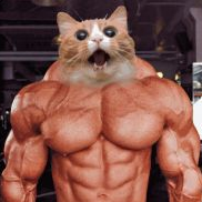 SeanM124
