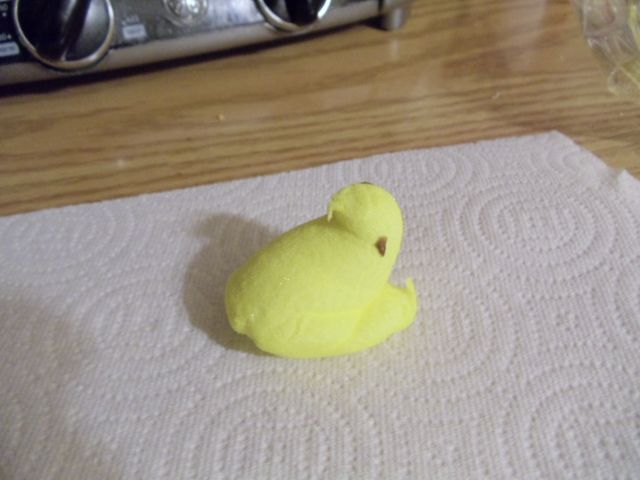 Chocolate Covered Peeps