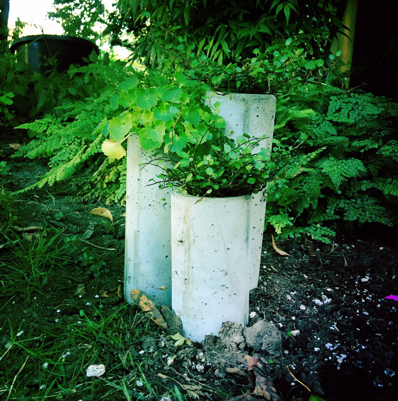 Hose Guide Planters 7 Steps (with Pictures) Instructables