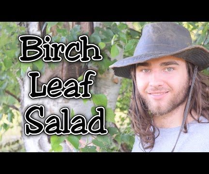 Birch Tree, Leaf Salad..? Are Birch Leaves Edible?