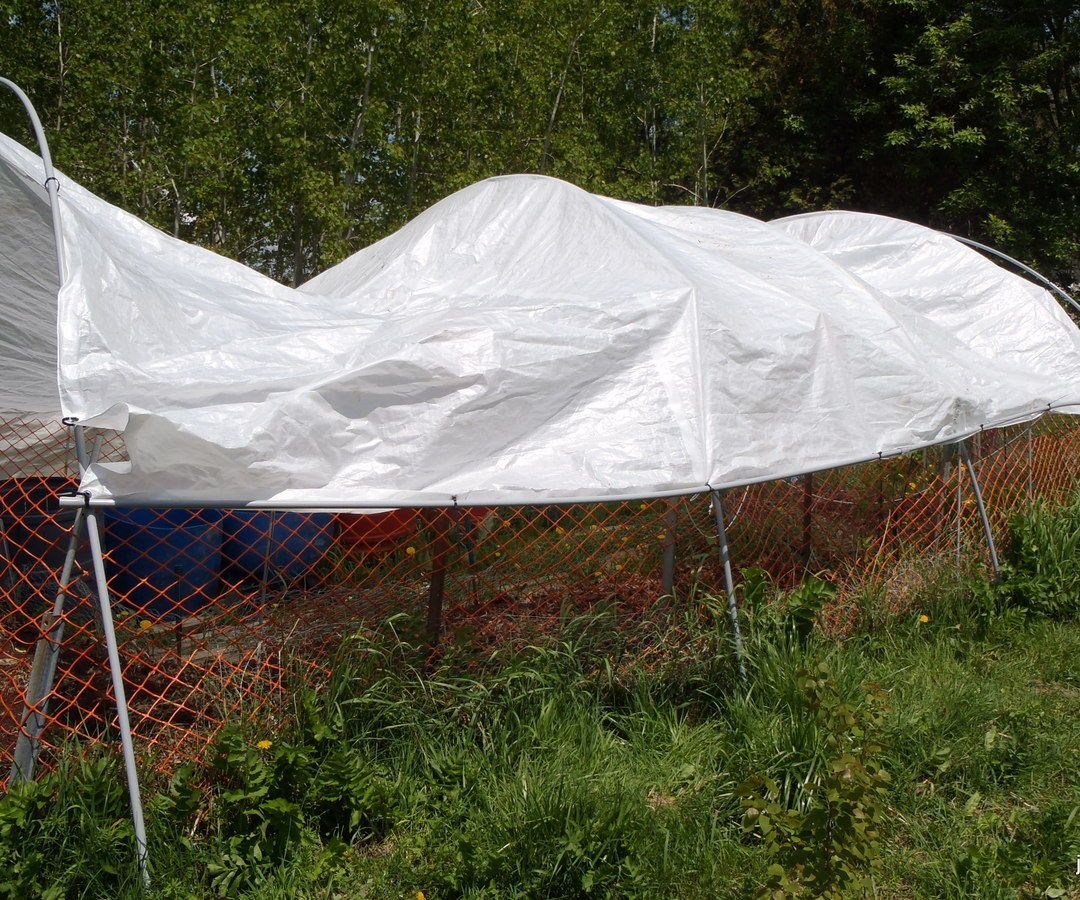 Garden Sun Shade / Frost Cover
