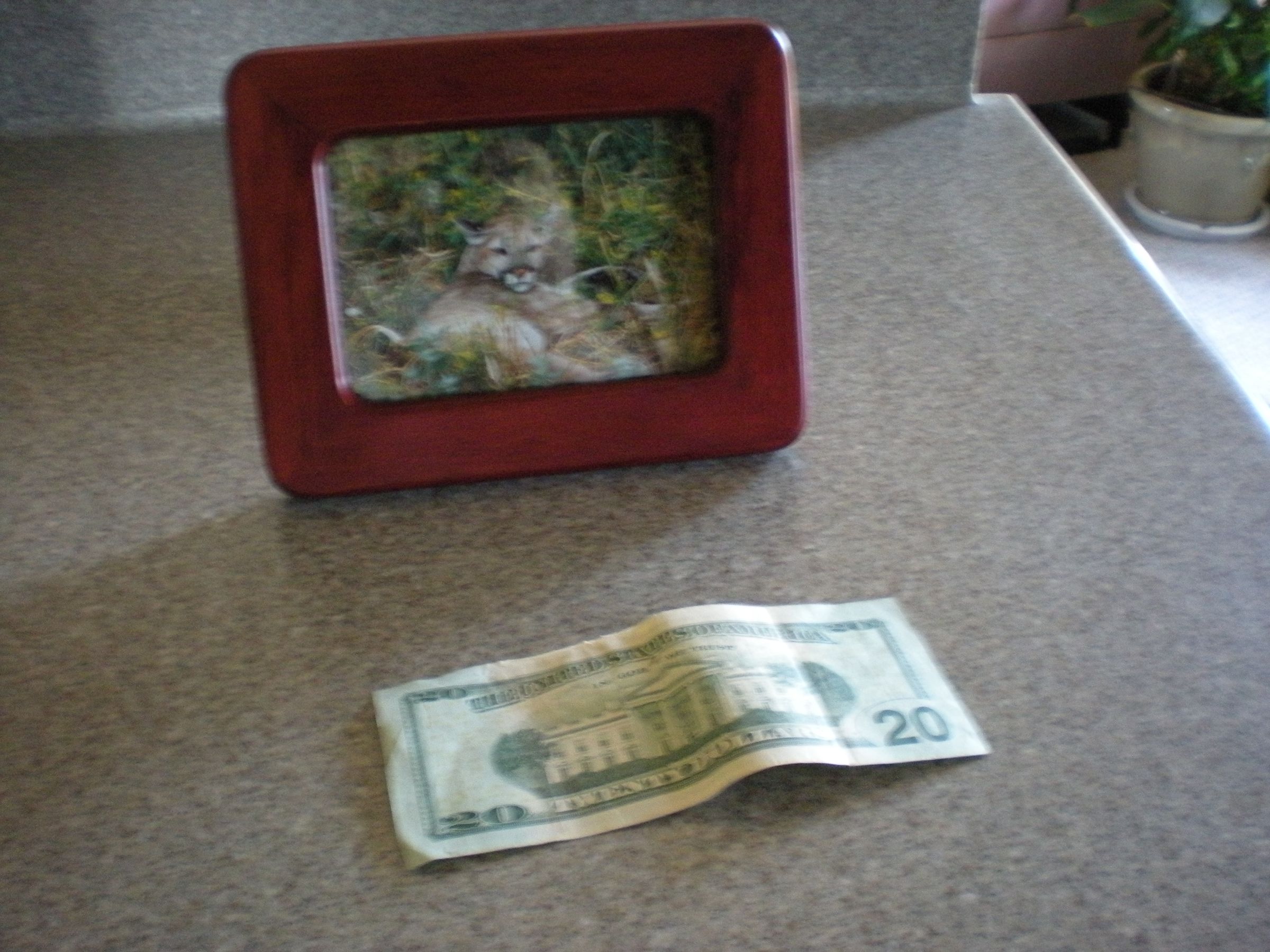 An Easy Way to Keep Money Safe! Instructables