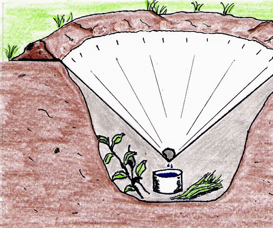 How to Make a Solar Still