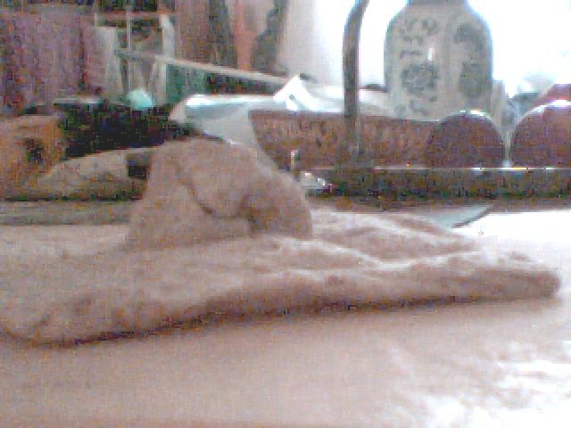 Kiteman Shed Out of Bread!