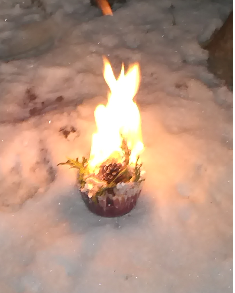 Christmas Fire Starter