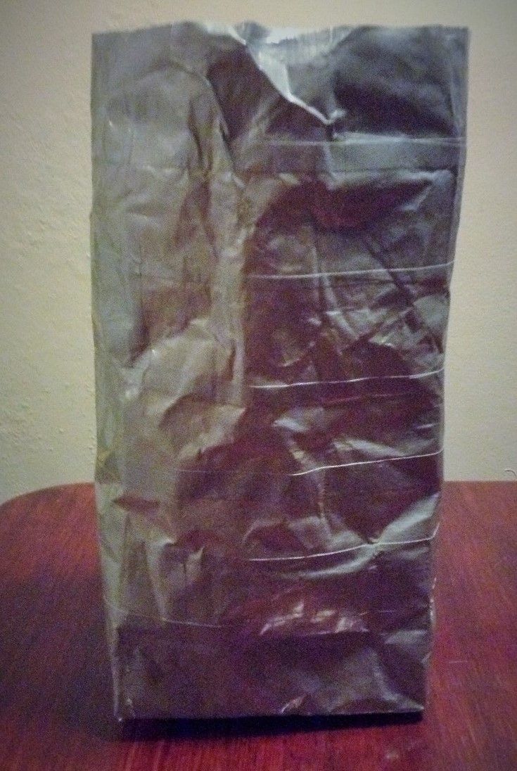 5 Minute Indistructable Lunch Bag