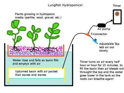 Modular "Lungfish" Ebb and Flow Hydroponics or Aquaponics Systems.  Easier?