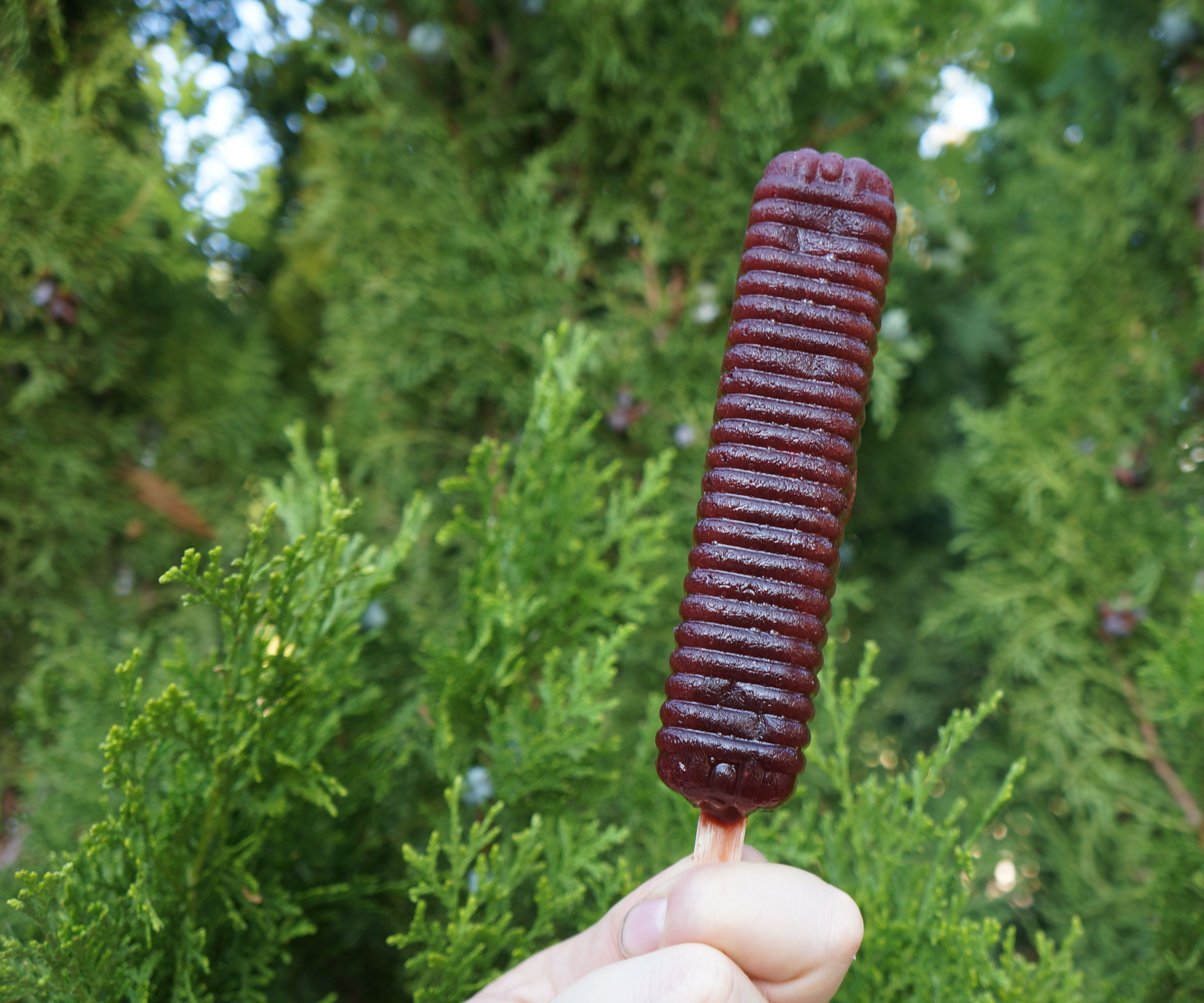 Real Cherry Popsicle With Added Trace Minerals 