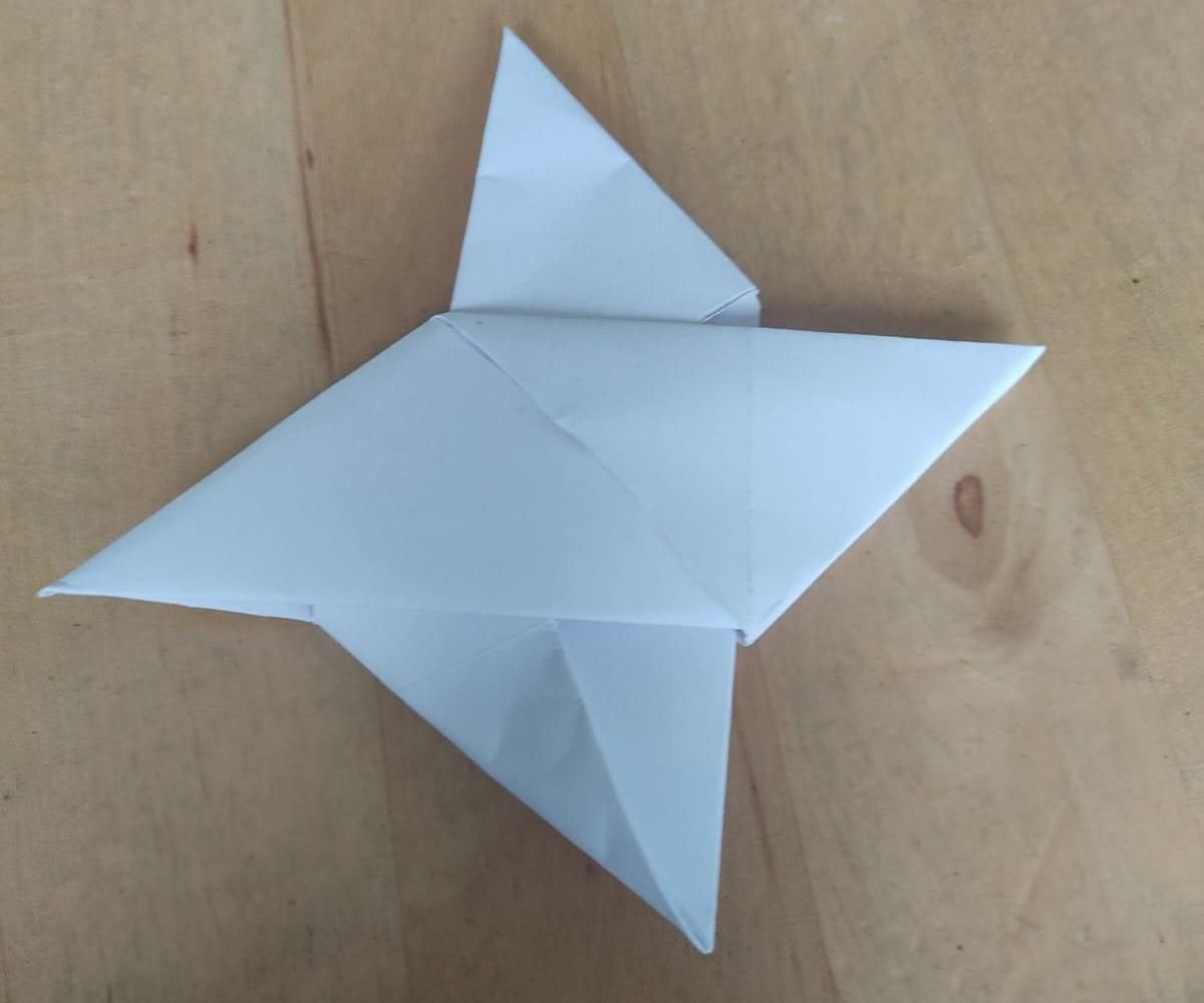 Ninja Star