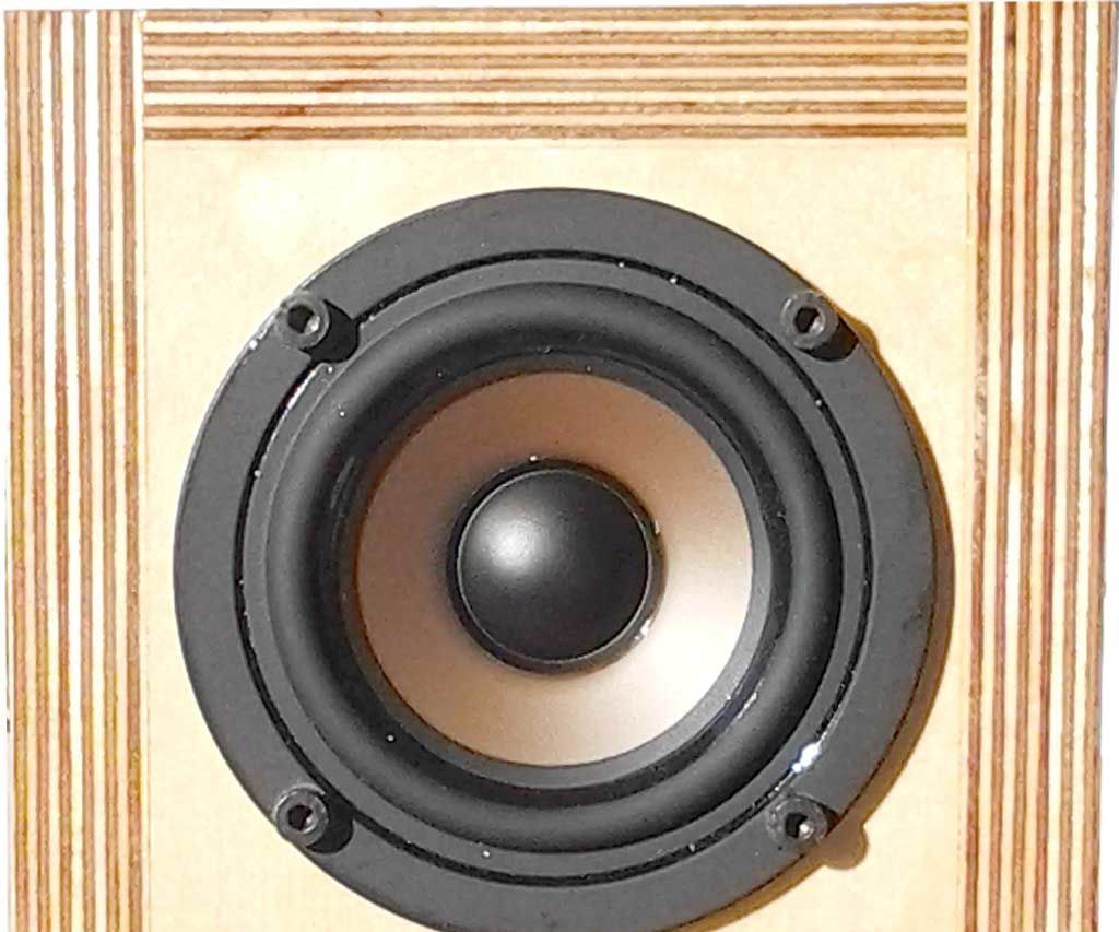 DIY Bookshelf Speakers