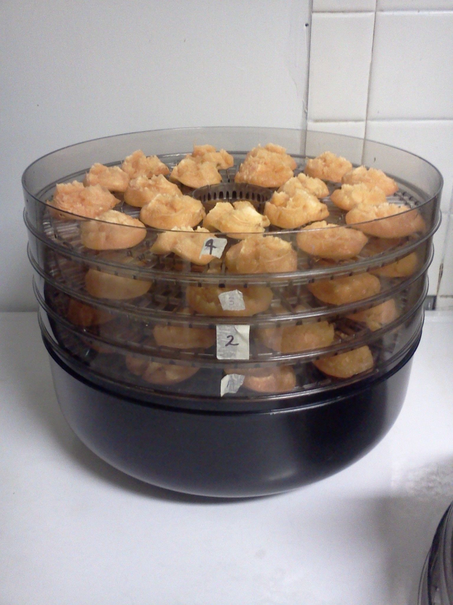Dehydrating Apricots 4 Steps (with Pictures) Instructables