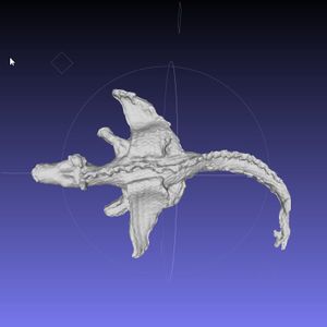 How to Clone a Dragon