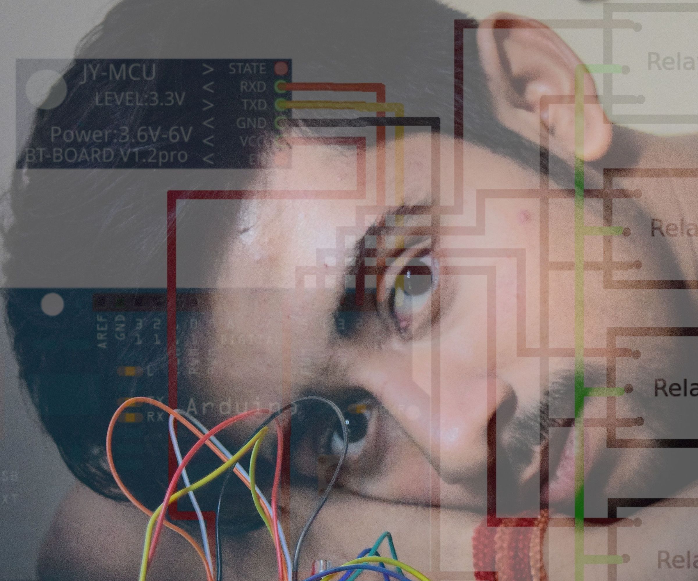 Voice Controlled Home Automation - Riddhiman Munshi