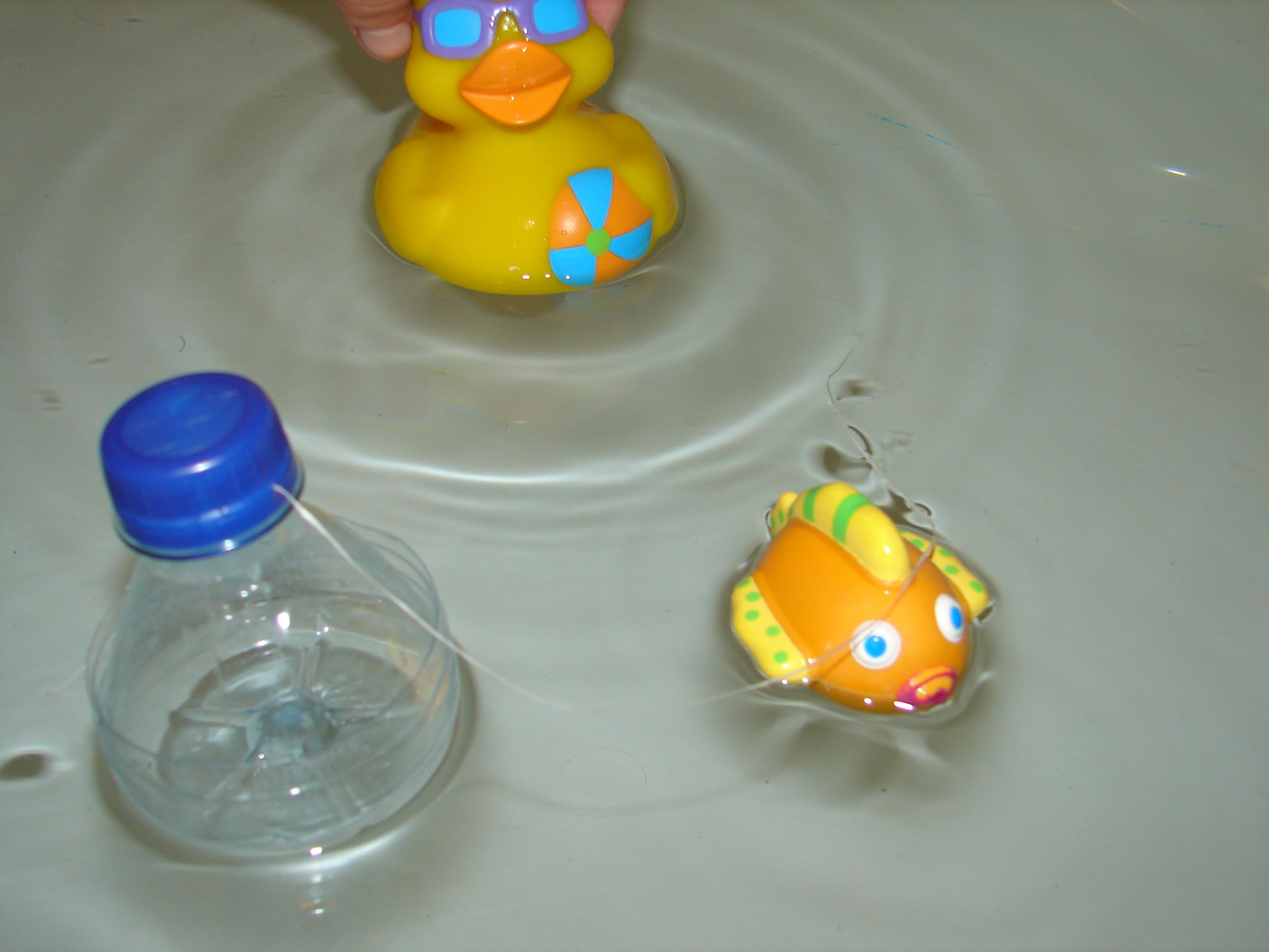 Fishing Bobber