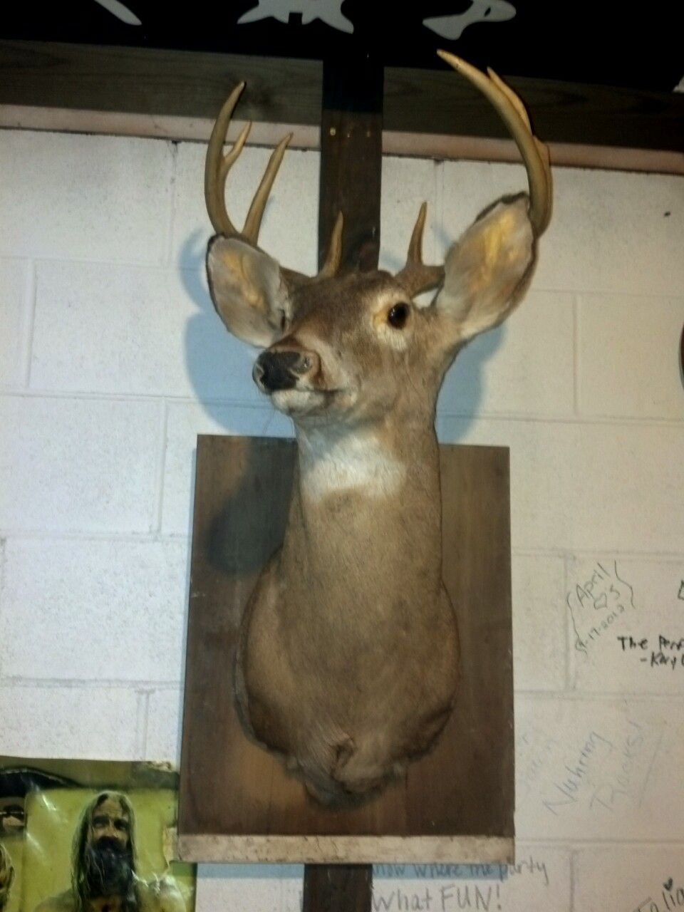 Hidden Compartment in a Deer Mount