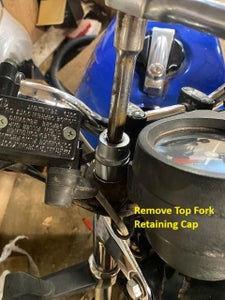 Fork Seals