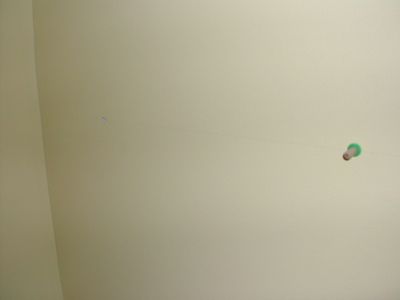 Wall Preparation