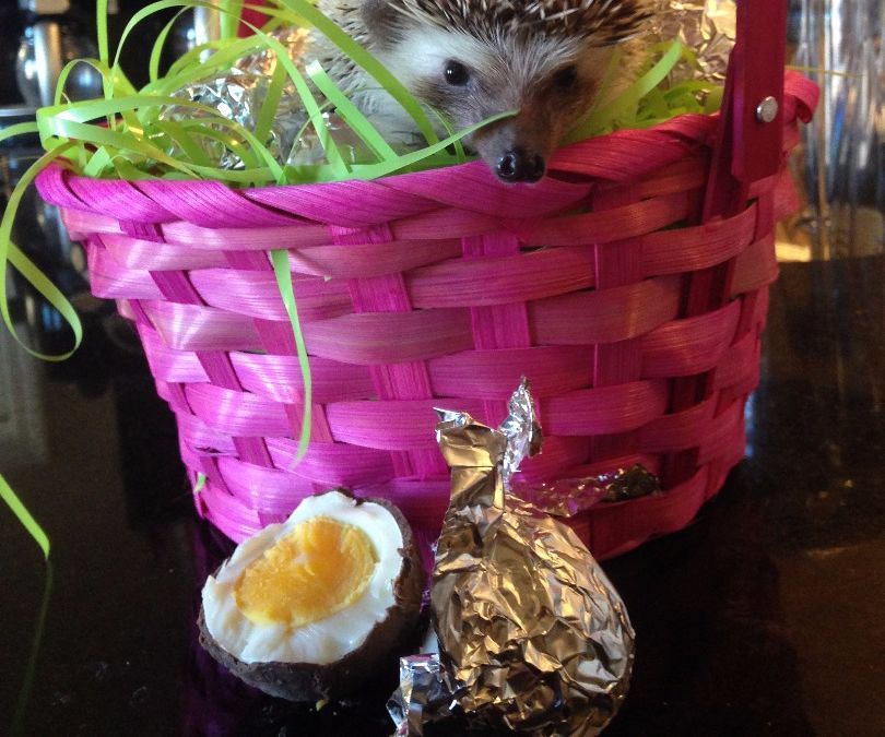 Homemade Chocolate Eggs