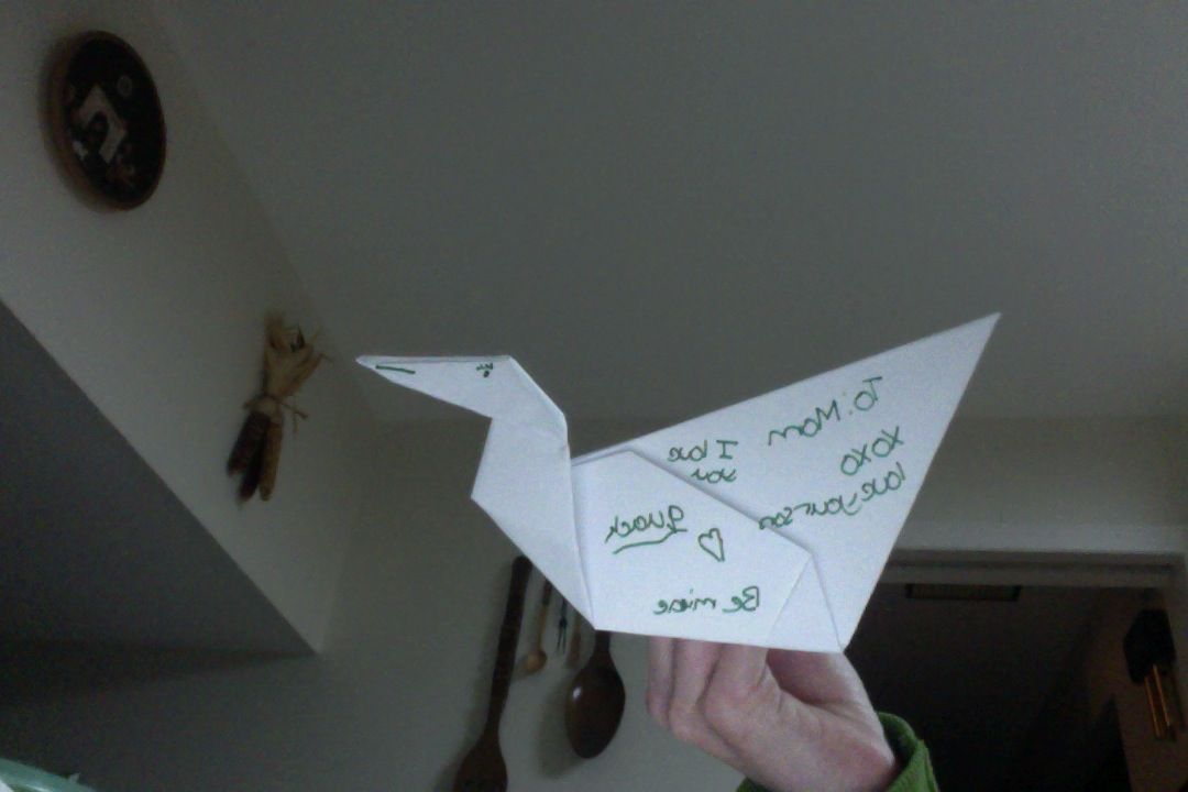 How to Make a Valentines Day Origami Duck!