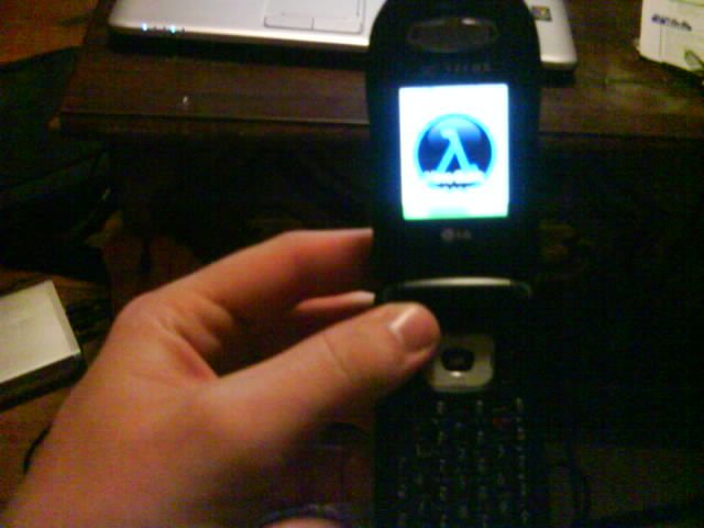 Putting Ringtones on a LG490