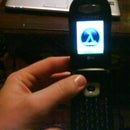 Putting Ringtones on a LG490