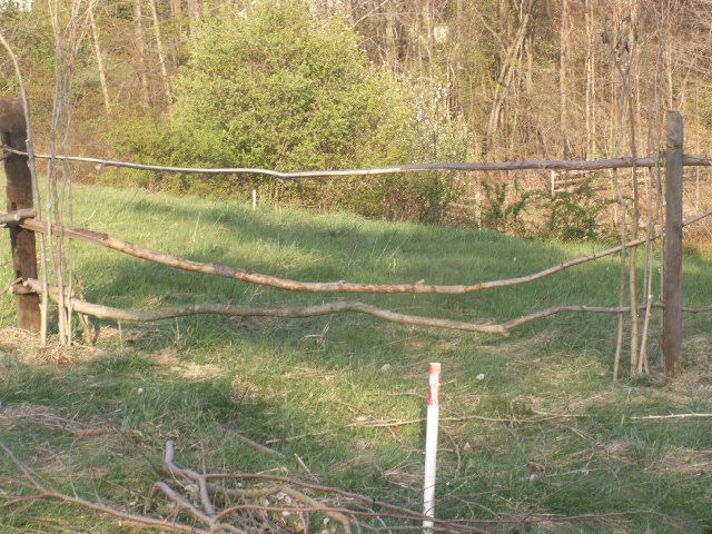 Natural Fence Made With No Nails Just Branches