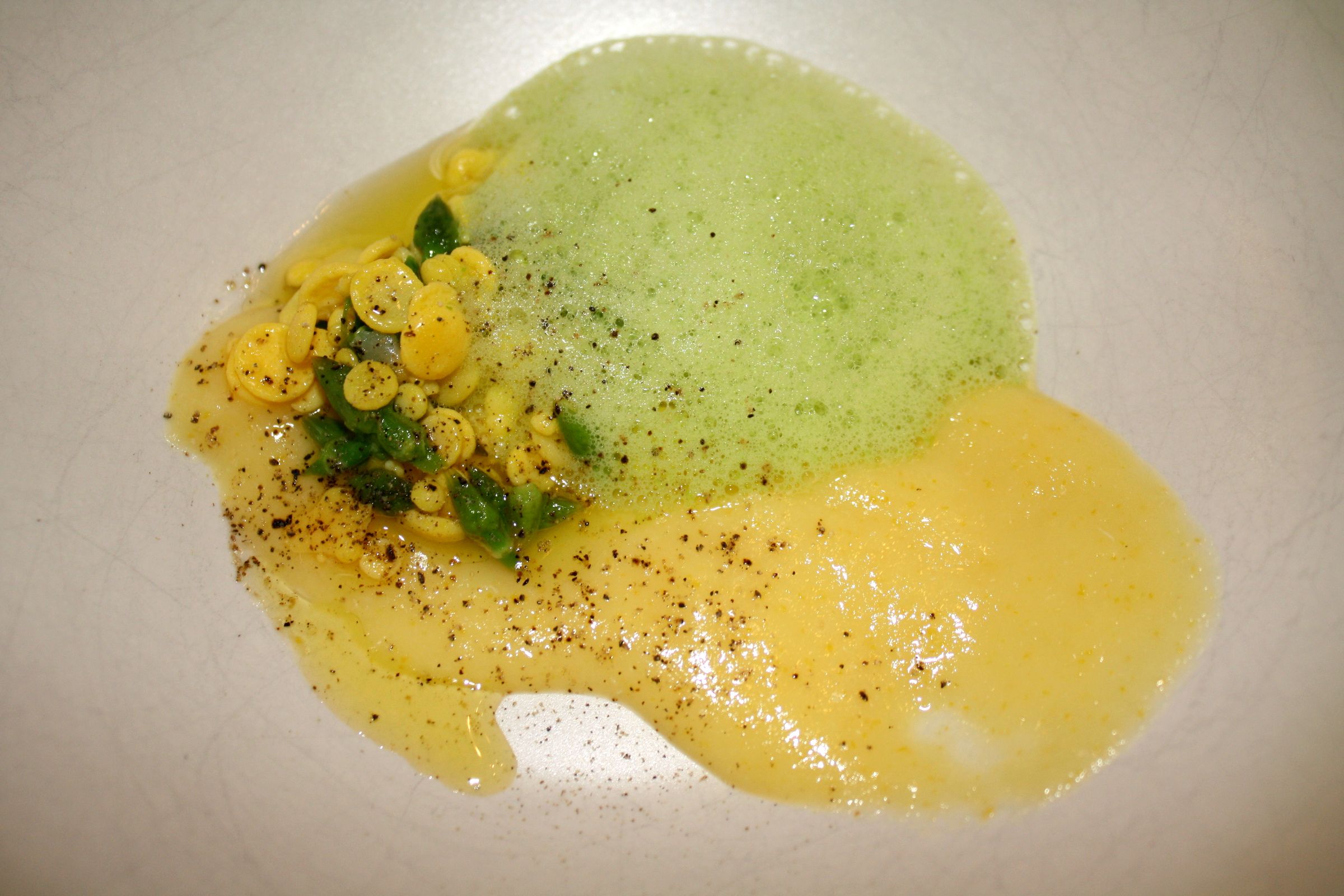 Alinea Dinner Challenge 2 (with Pictures) Instructables