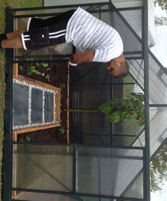 Inground Greenhouse Growing (including Recipes)
