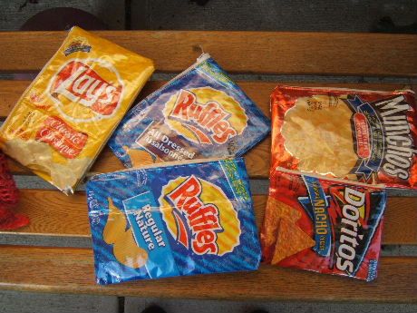 Potato Chip Bag Pencil Case