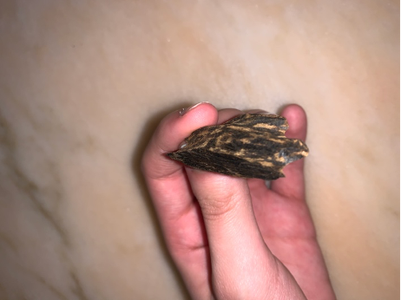 وصف المشكلة