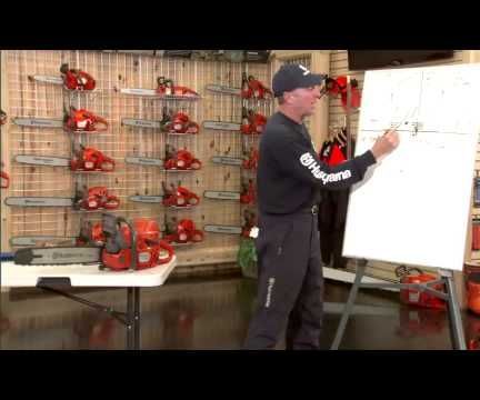 How to cut down a tree using a chainsaw: felling plan