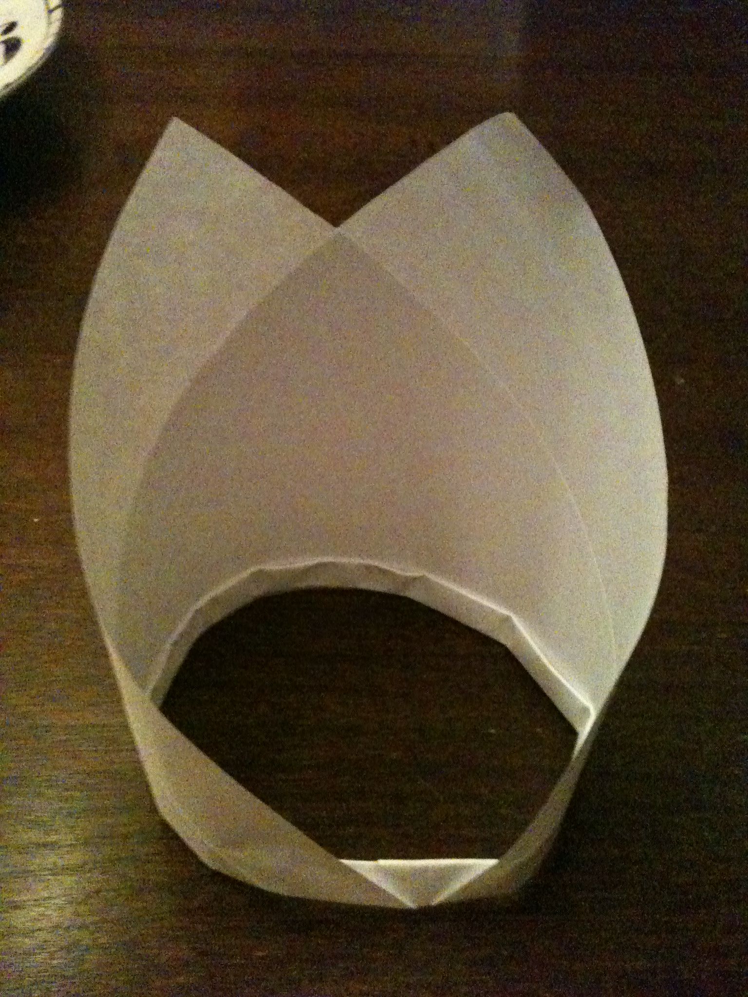 Flying Gyro Toy