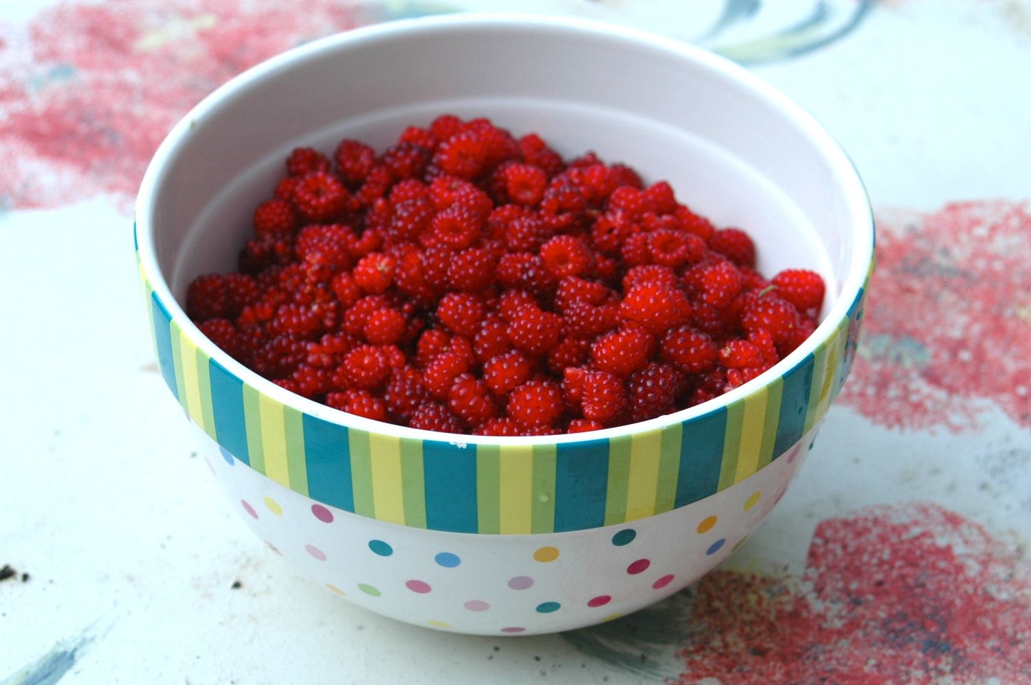 No-Sugar-Added Wild Raspberry Jam