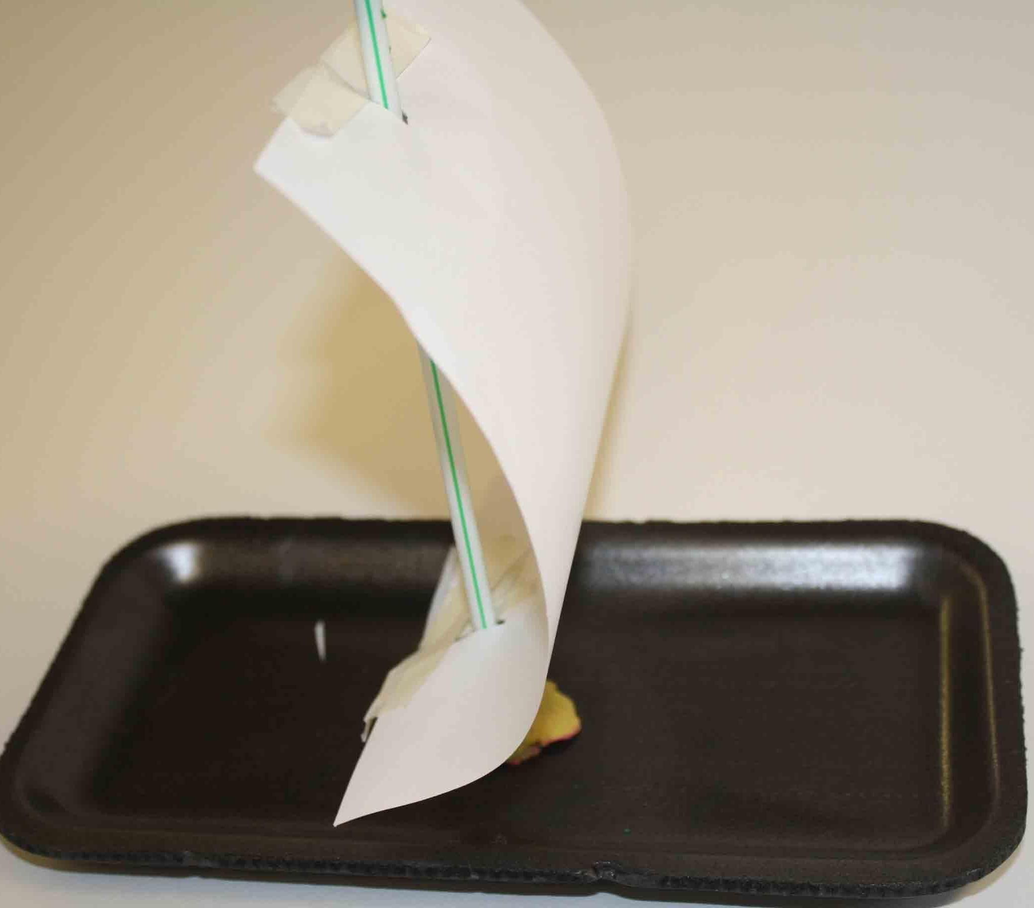 Make It Sail: An Educational STEM Project-Base Learning Experience