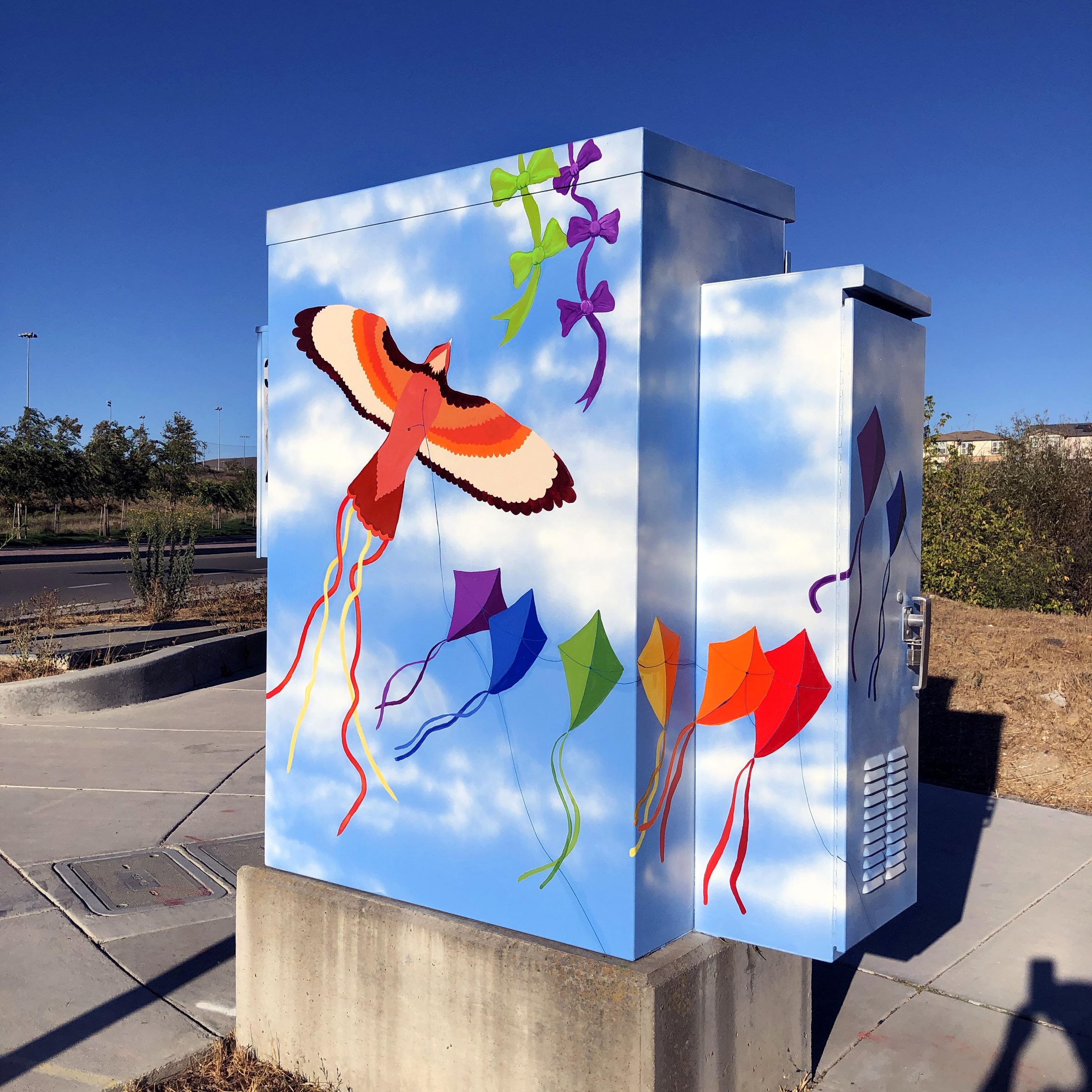 Painted Utility Box Public Art/Mural 28 Steps (with Pictures
