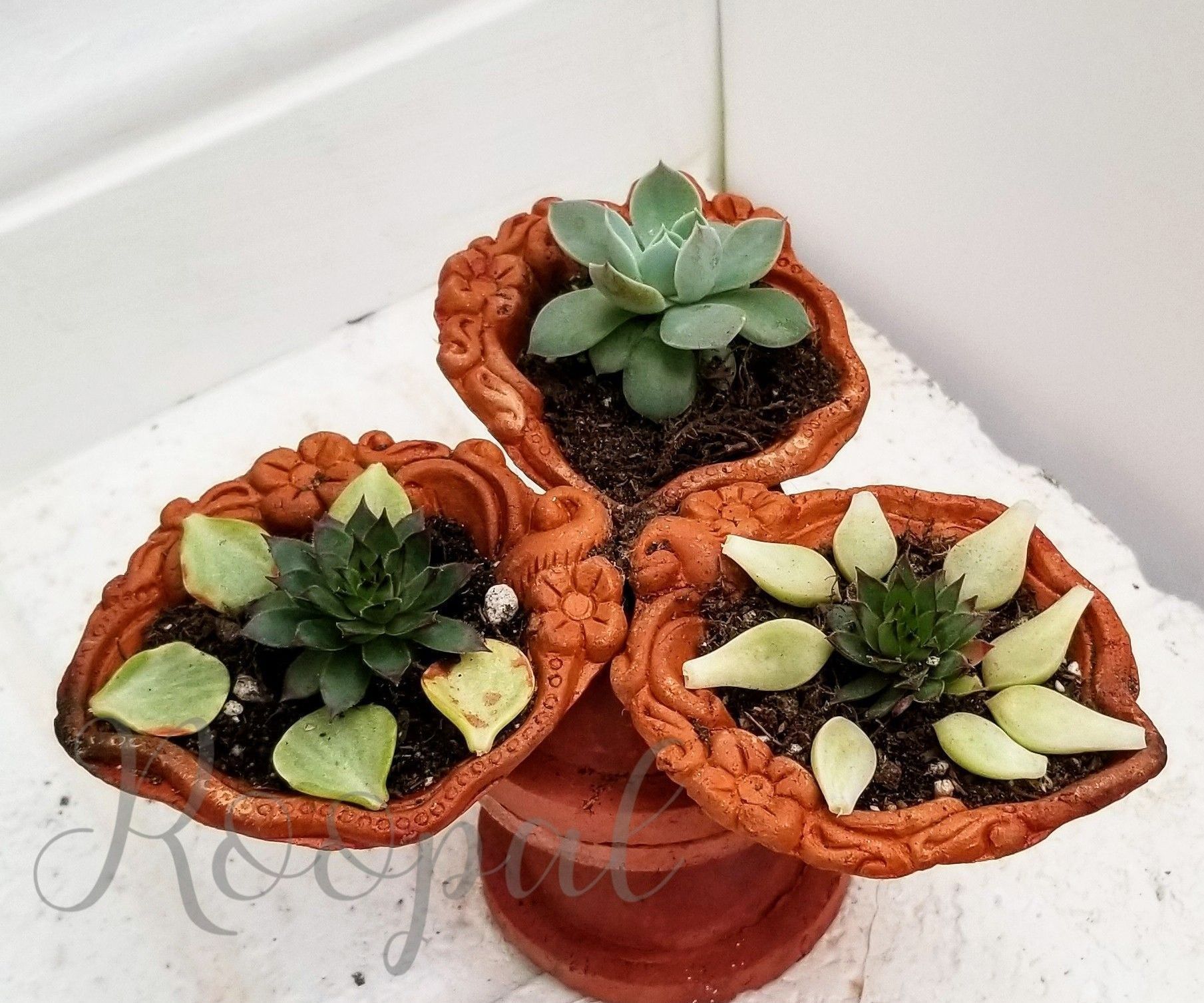 Upclycled Diya Planter