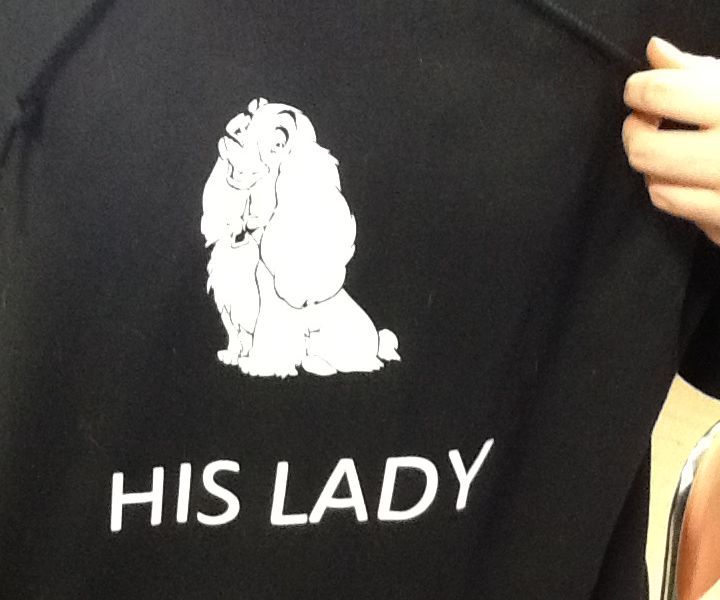 Lady and the Tramp Hoodies