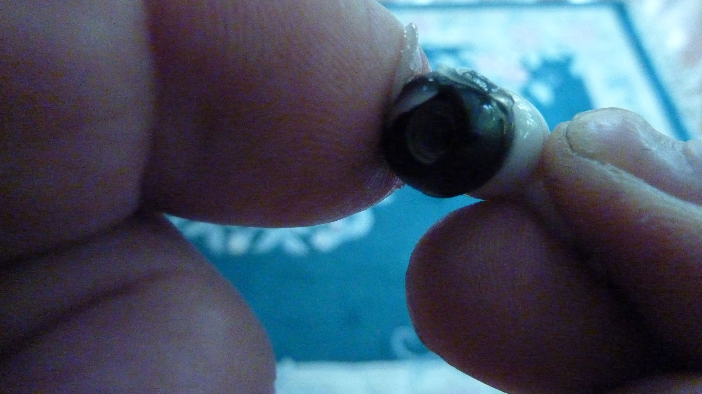 FULL Sound From Your Earbuds... Free