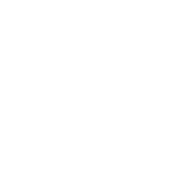 download {{ file.name }}