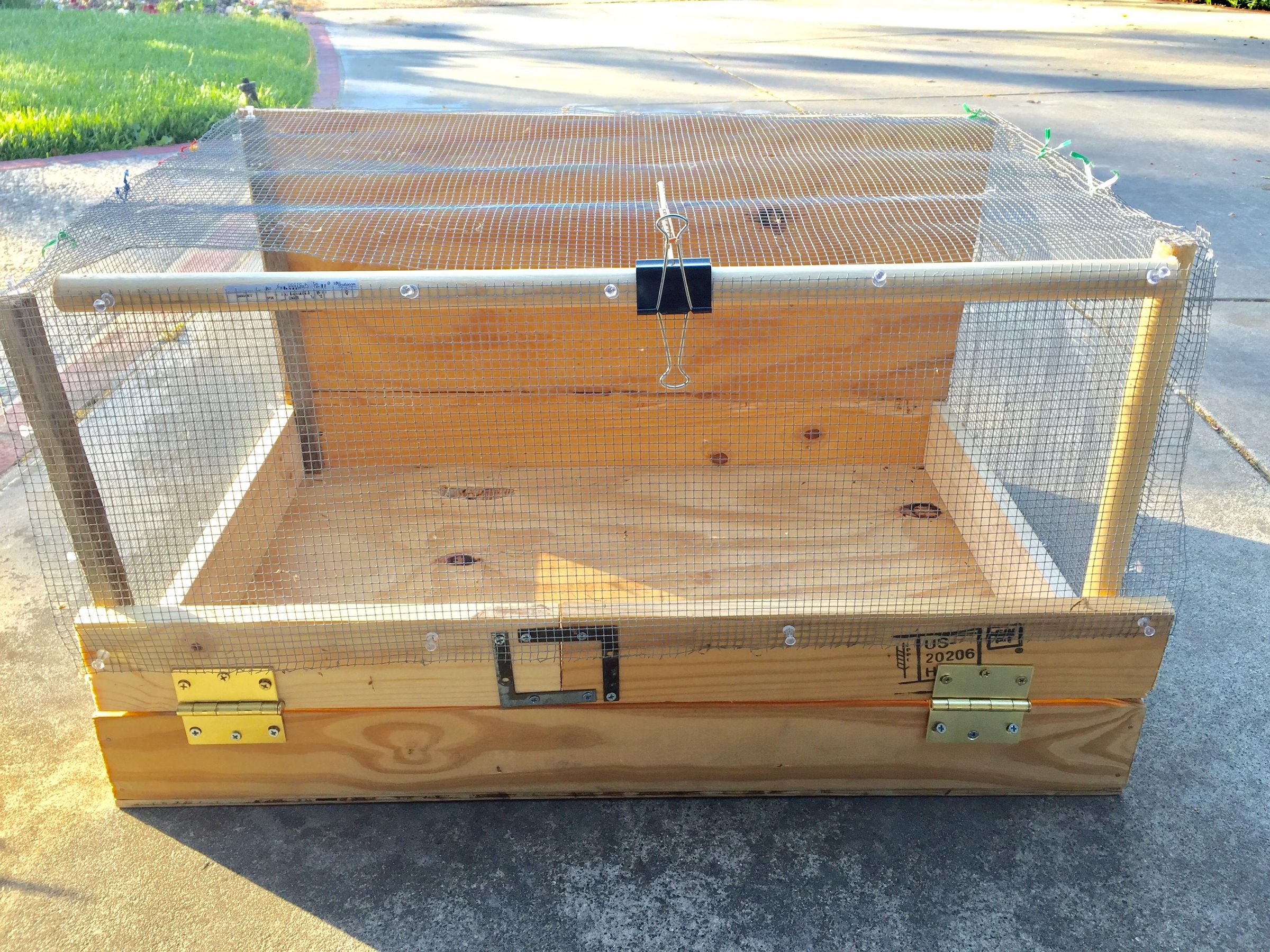 Chicken Brooder