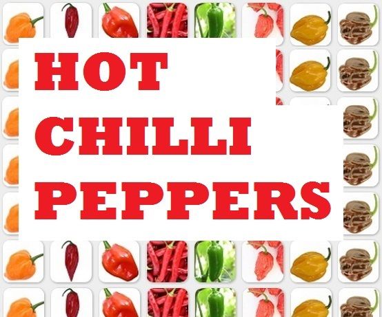 16 Tips on Growing Hot Chilli Peppers in a Cold Climate