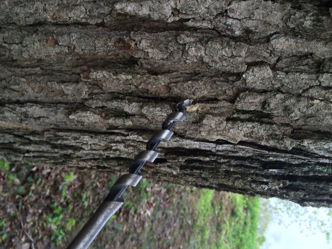 Drill Holes for the Taps