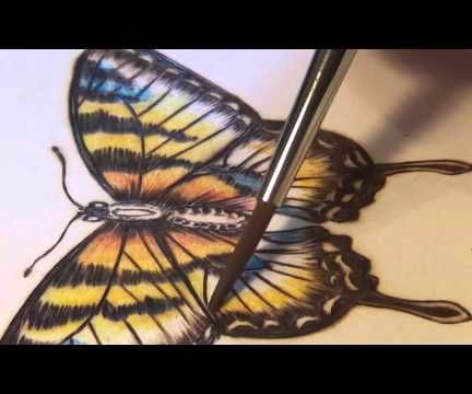 Pyrography Butterfly on Paper