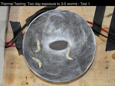 Experiment: Temperature Guided Deposition 