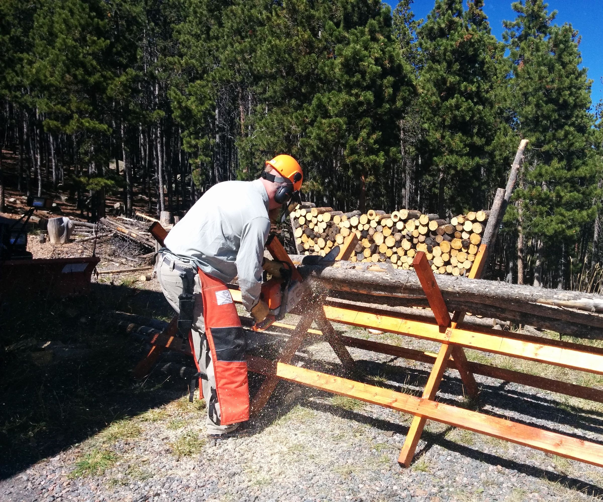 Tree-length Saw Horse